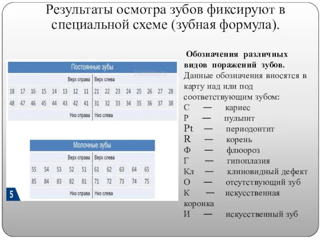 . Результаты осмотра зубов фиксируют в специальной схеме (зубная формула).