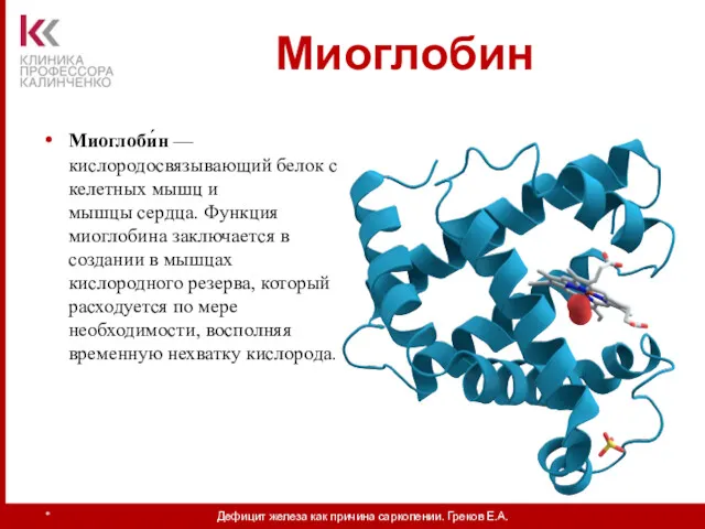 Миоглоби́н — кислородосвязывающий белок скелетных мышц и мышцы сердца. Функция