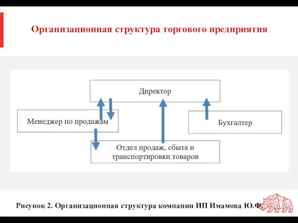 Рисунок 2. Организационная структура компании ИП Имамова Ю.Ф. Организационная структура торгового предприятия