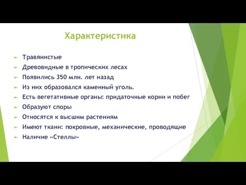 Характеристика Травянистые Древовидные в тропических лесах Появились 350 млн. лет