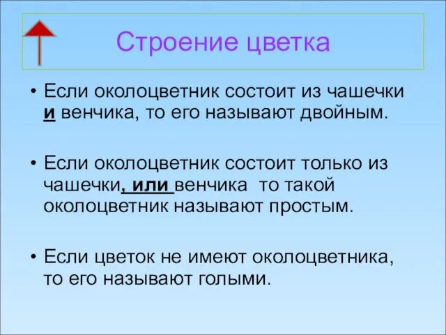 Строение цветка Если околоцветник состоит из чашечки и венчика, то