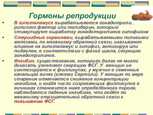 Гормоны репродукции В гипоталамусе вырабатывается гонадотропин - рилизинг фактор или