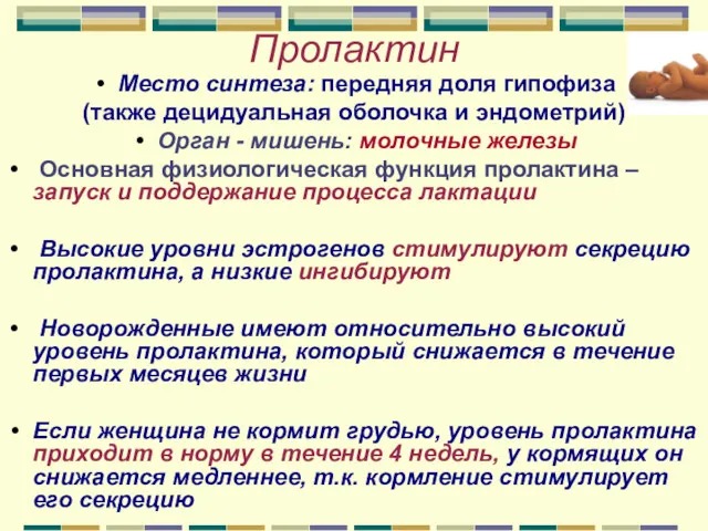 Пролактин Место синтеза: передняя доля гипофиза (также децидуальная оболочка и