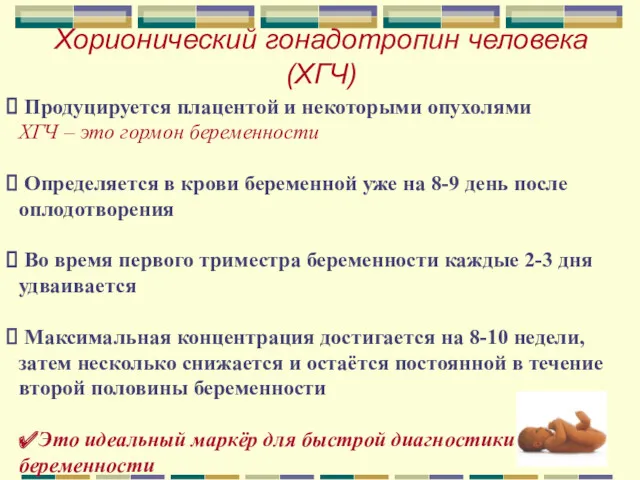 Хорионический гонадотропин человека (ХГЧ) Продуцируется плацентой и некоторыми опухолями ХГЧ