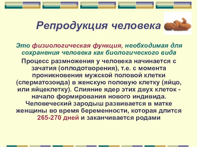 Репродукция человека Это физиологическая функция, необходимая для сохранения человека как