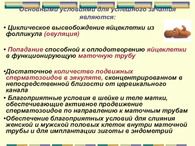 Основными условиями для успешного зачатия являются: Циклическое высвобождение яйцеклетки из