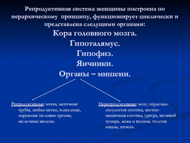 Репродуктивная система женщины построена по иерархическому принципу, функционирует циклически и