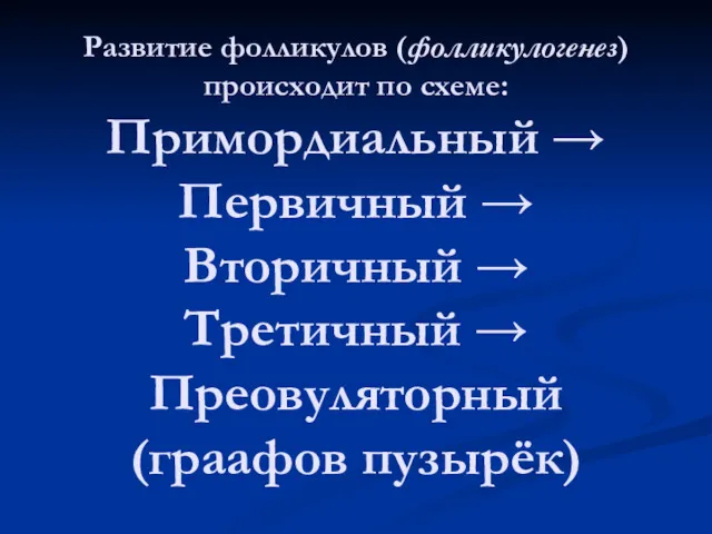 Развитие фолликулов (фолликулогенез) происходит по схеме: Примордиальный → Первичный →