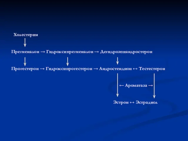 Холестерин Прегненалон → Гидроксипрегненалон → Дегидроэпиандростерон Прогестерон → Гидроксипрогестерон →