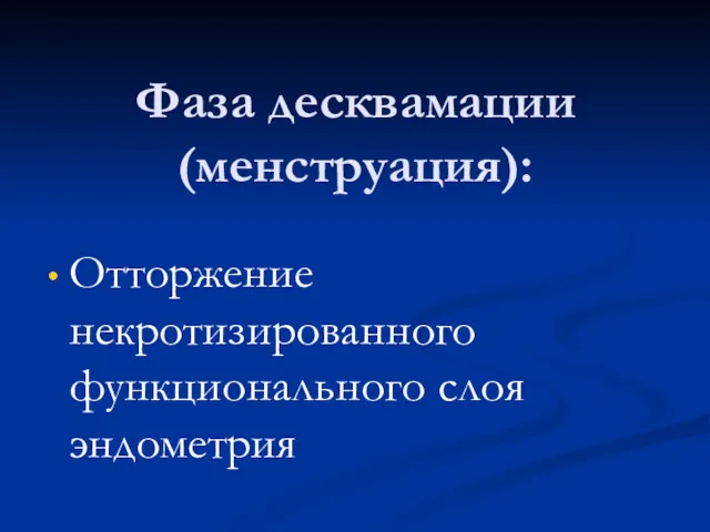 Фаза десквамации (менструация): Отторжение некротизированного функционального слоя эндометрия