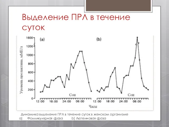 Выделение ПРЛ в течение суток Динамика выделения ПРЛ в течение