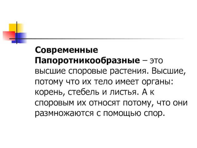 Современные Папоротникообразные – это высшие споровые растения. Высшие, потому что