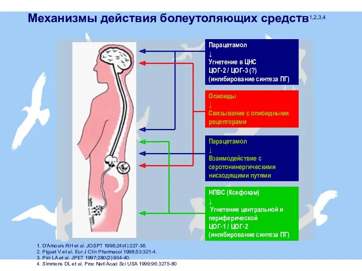 Механизмы действия болеутоляющих средств1,2,3,4 1. D’Amours RH et al. JOSPT