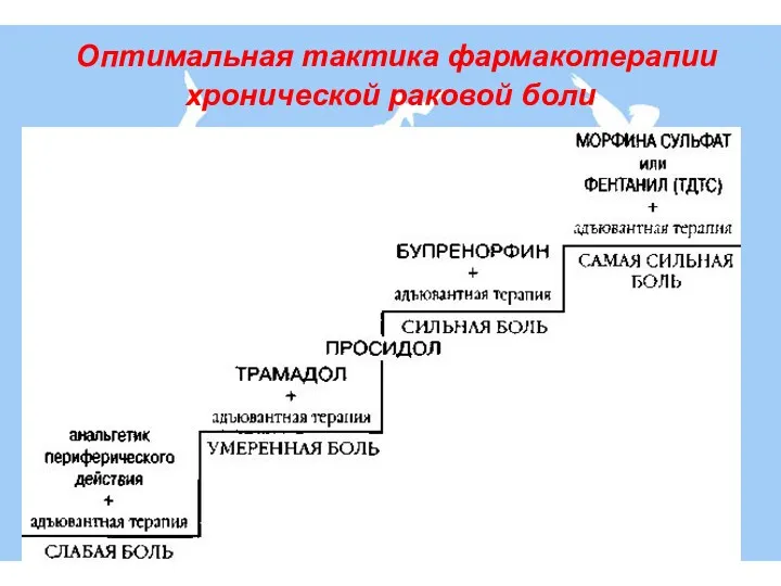 Оптимальная тактика фармакотерапии хронической раковой боли