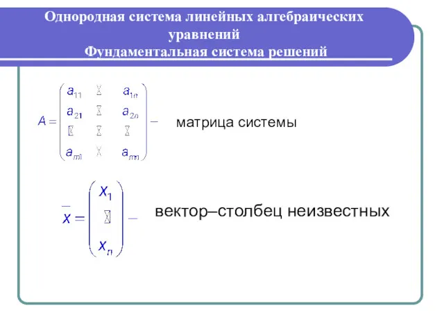 матрица системы вектор–столбец неизвестных Однородная система линейных алгебраических уравнений Фундаментальная система решений