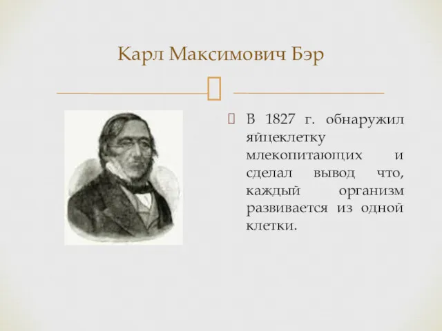 Карл Максимович Бэр В 1827 г. обнаружил яйцеклетку млекопитающих и