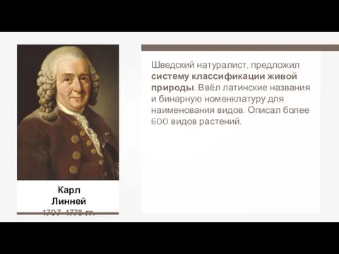 Карл Линней 1707–1778 гг. Шведский натуралист, предложил систему классификации живой