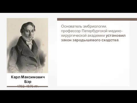 Карл Максимович Бэр 1792–1876 гг. Основатель эмбриологии, профессор Петербургской медико-хирургической академии установил закон зародышевого сходства.