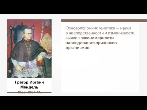 Грегор Иоганн Мендель 1822–1884 гг. Основоположник генетики — науки о