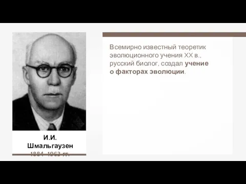 И.И. Шмальгаузен 1884–1963 гг. Всемирно известный теоретик эволюционного учения XX