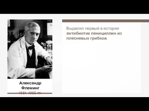 Александр Флеминг 1881–1955 гг. Выделил первый в истории антибиотик пенициллин из плесневых грибков.