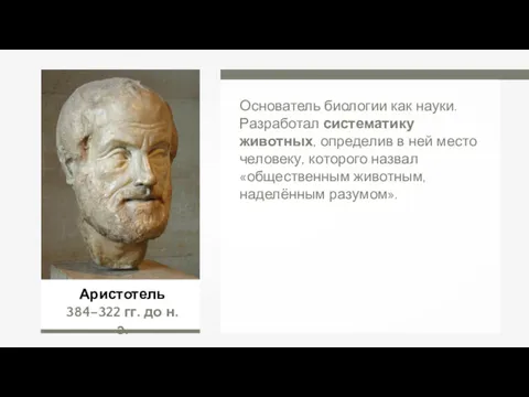 Аристотель 384–322 гг. до н.э. Основатель биологии как науки. Разработал