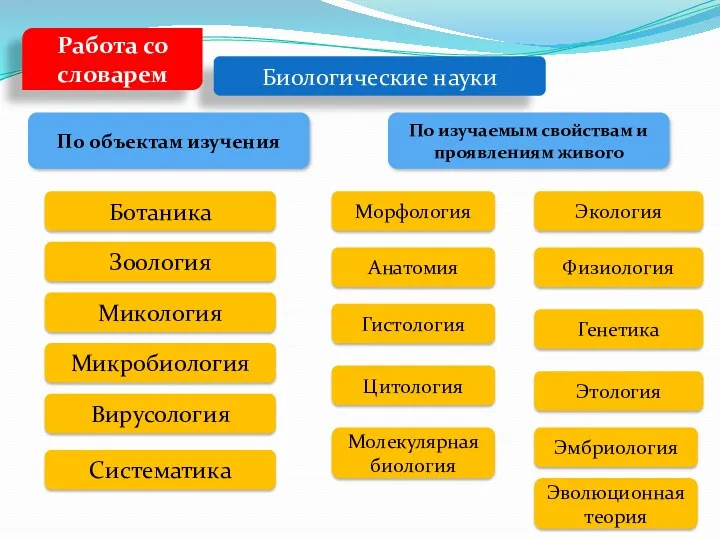 Биологические науки По объектам изучения По изучаемым свойствам и проявлениям