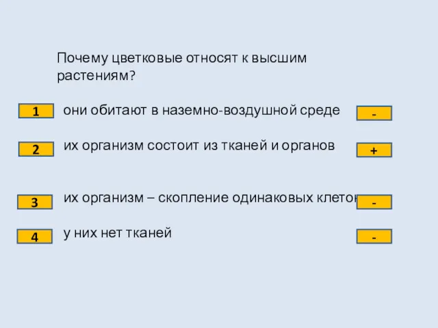 Почему цветковые относят к высшим растениям? они обитают в наземно-воздушной