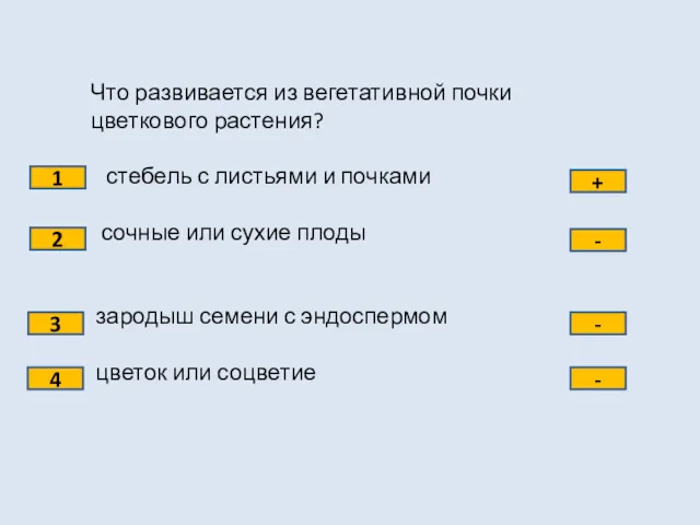 Что развивается из вегетативной почки цветкового растения? стебель с листьями