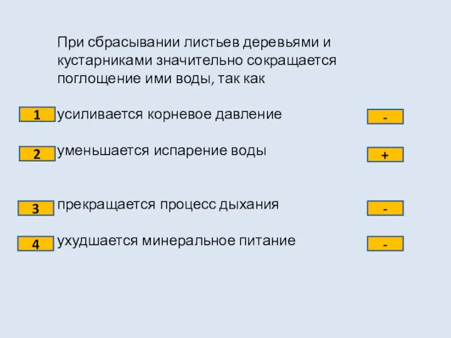 При сбрасывании листьев деревьями и кустарниками значительно сокращается поглощение ими