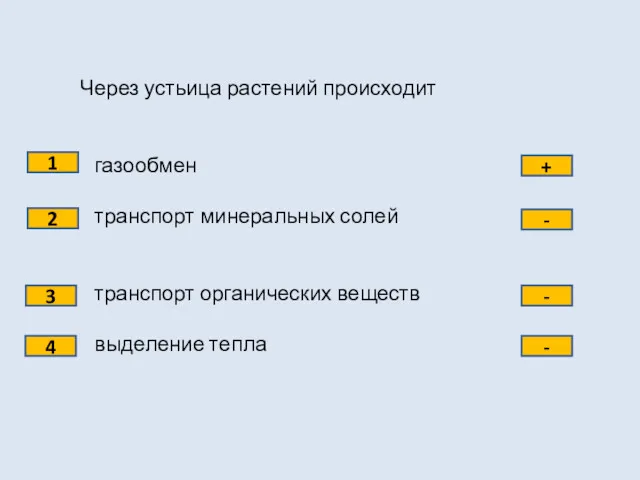 Через устьица растений происходит газообмен транспорт минеральных солей транспорт органических