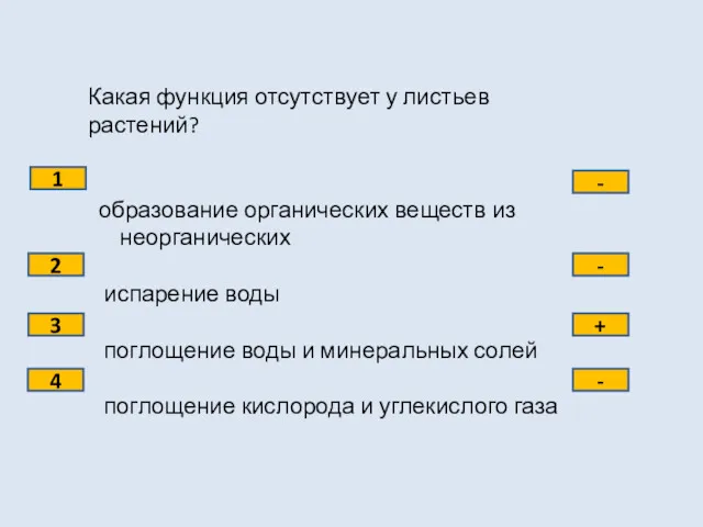 Какая функция отсутствует у листьев растений? образование органических веществ из