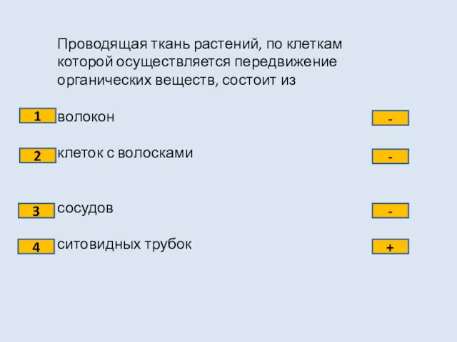 Проводящая ткань растений, по клеткам которой осуществляется передвижение органических веществ,