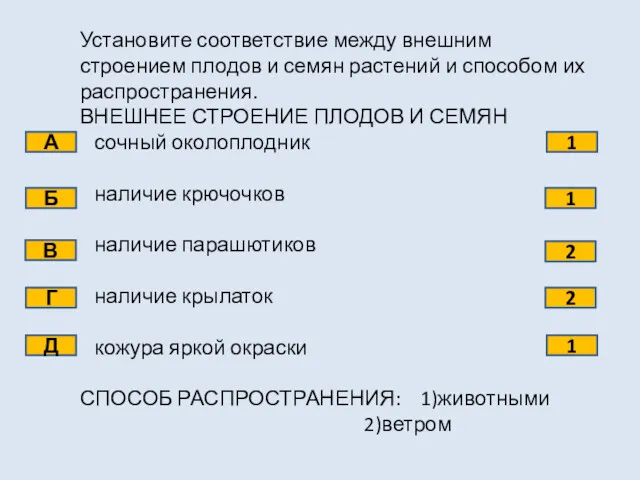 Установите соответствие между внешним строением плодов и семян растений и