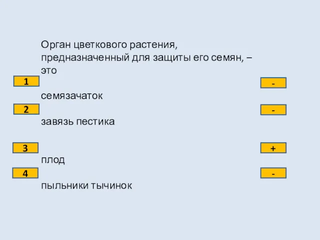 Орган цветкового растения, предназначенный для защиты его семян, – это