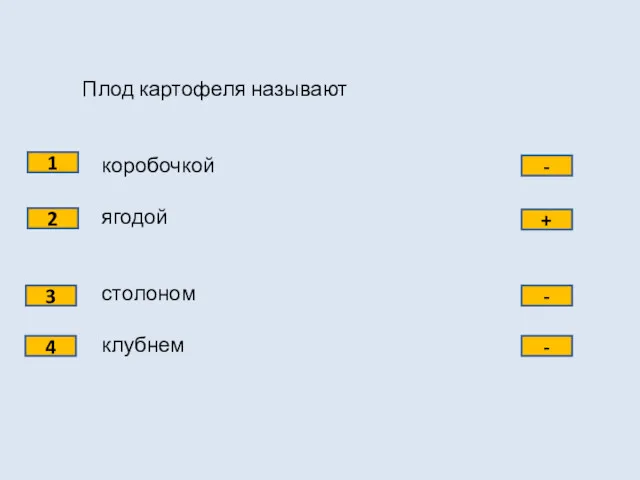 Плод картофеля называют коробочкой ягодой столоном клубнем 1 2 3 4 - + - -