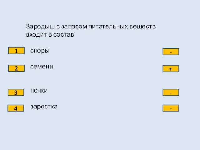 Зародыш с запасом питательных веществ входит в состав споры семени