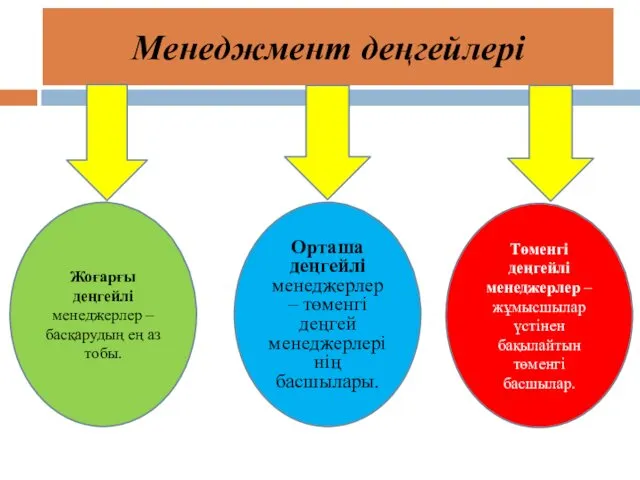 Менеджмент деңгейлері Жоғарғы деңгейлі менеджерлер – басқарудың ең аз тобы.