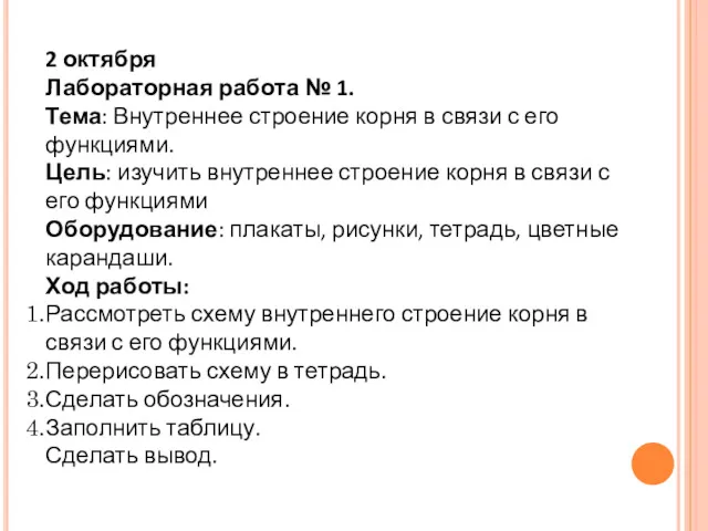 2 октября Лабораторная работа № 1. Тема: Внутреннее строение корня