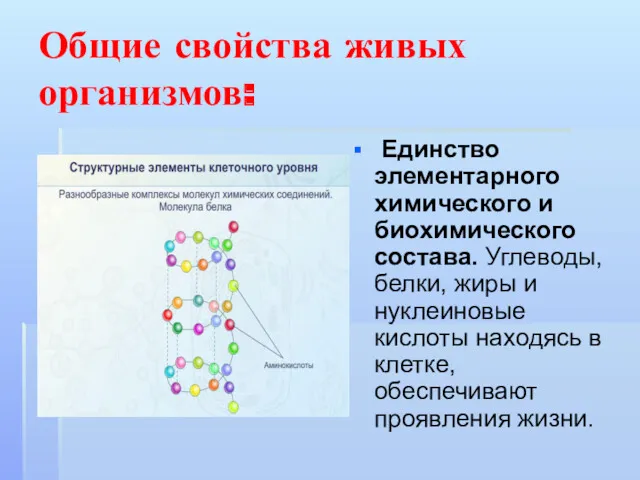 Общие свойства живых организмов: Единство элементарного химического и биохимического состава.