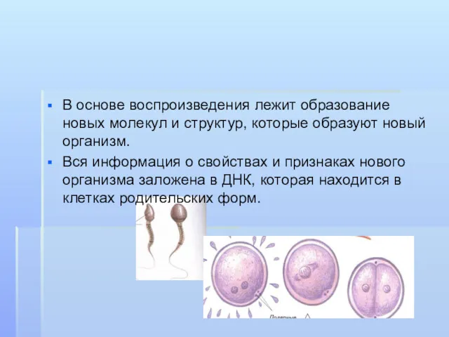 В основе воспроизведения лежит образование новых молекул и структур, которые