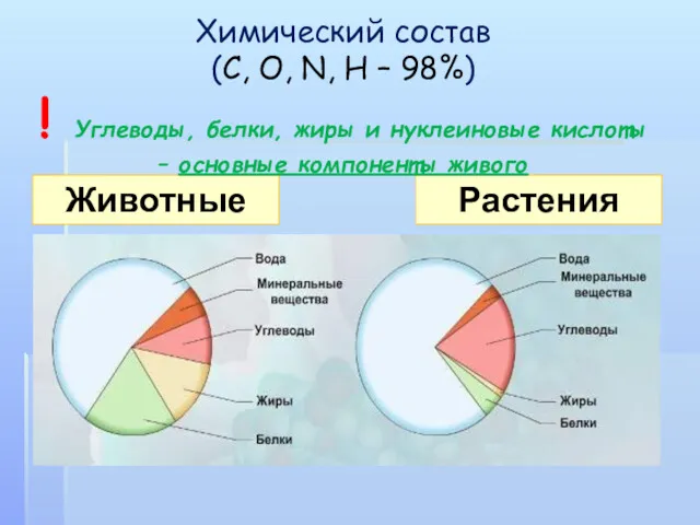 Растения Животные Химический состав (C, O, N, H – 98%)