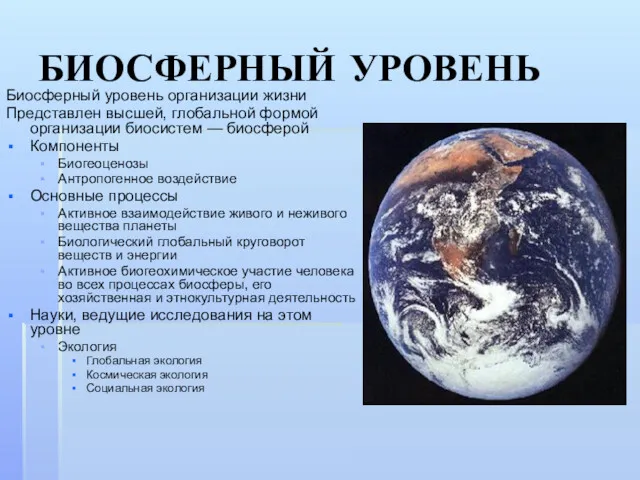 БИОСФЕРНЫЙ УРОВЕНЬ Биосферный уровень организации жизни Представлен высшей, глобальной формой