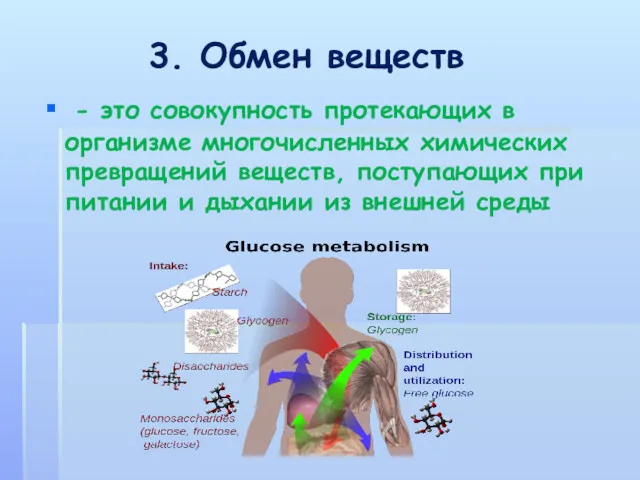 3. Обмен веществ - это совокупность протекающих в организме многочисленных