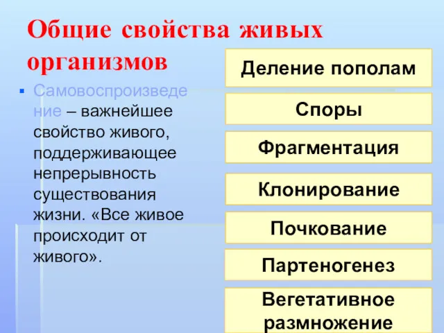 Общие свойства живых организмов Самовоспроизведение – важнейшее свойство живого, поддерживающее