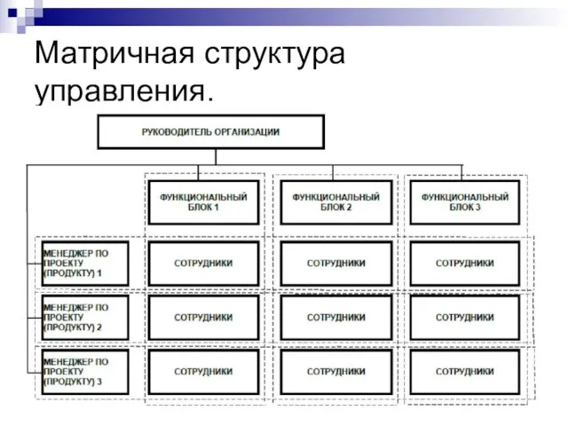 Матричная структура управления.