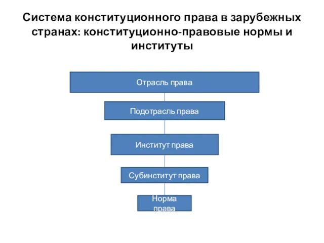 Система конституционного права в зарубежных странах: конституционно-правовые нормы и институты