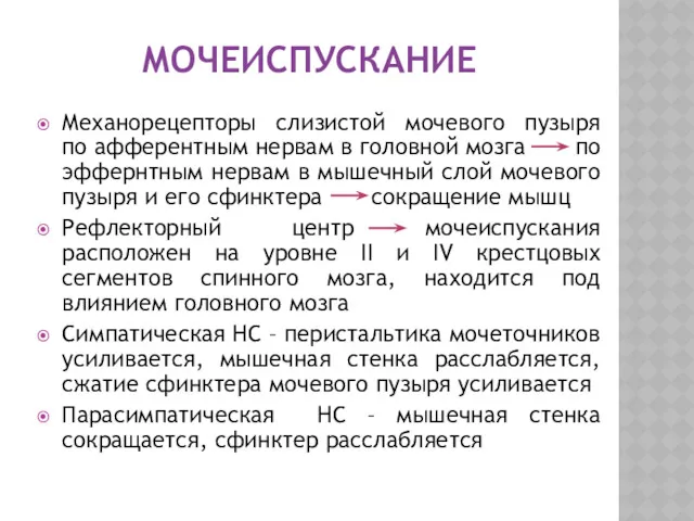 МОЧЕИСПУСКАНИЕ Механорецепторы слизистой мочевого пузыря по афферентным нервам в головной мозга по эффернтным