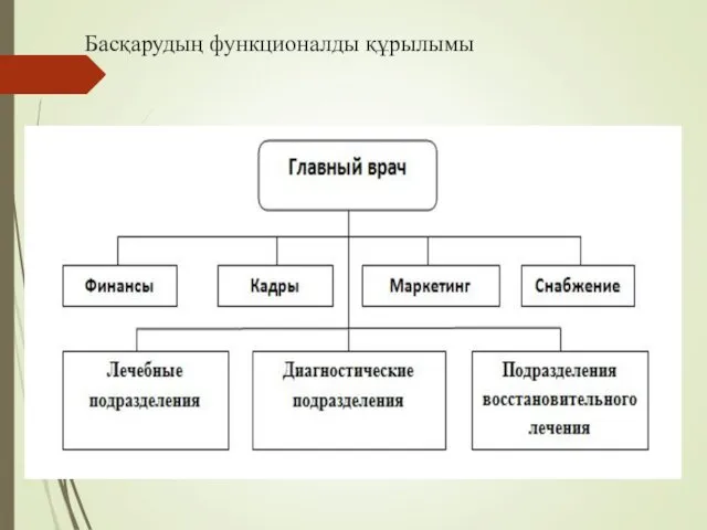 Басқарудың функционалды құрылымы