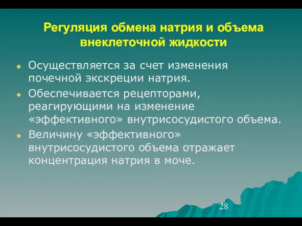 Регуляция обмена натрия и объема внеклеточной жидкости Осуществляется за счет